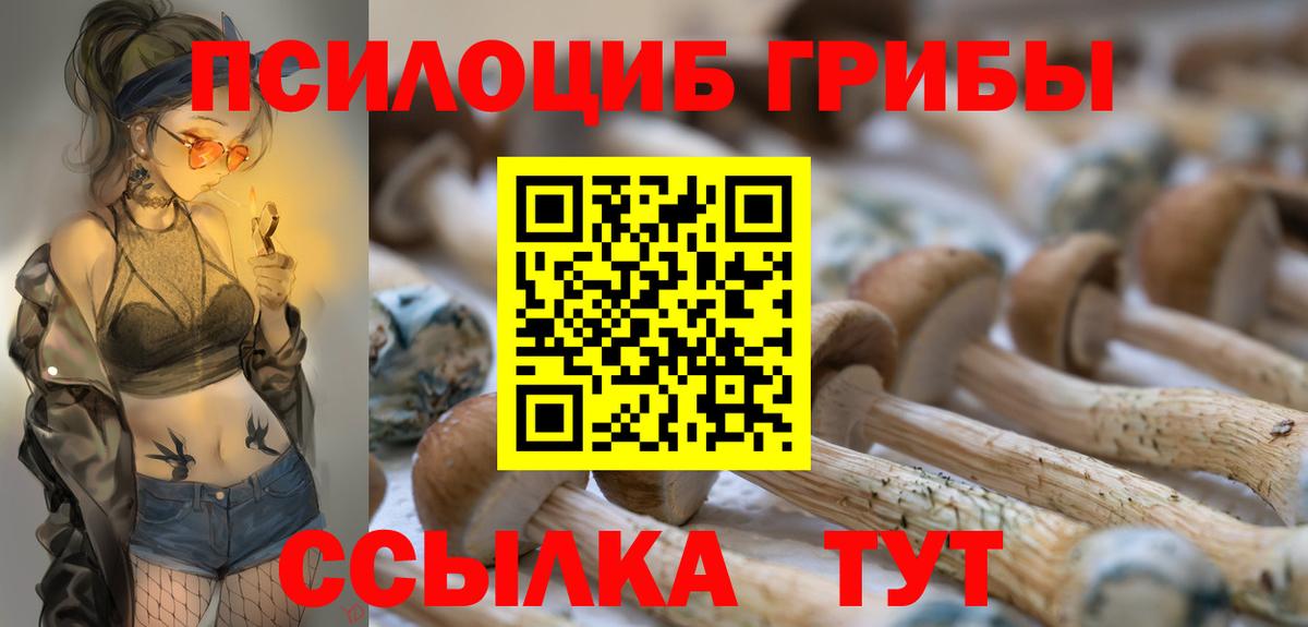Псилоцибиновые грибы прущие грибы  купить наркоту  Псилоцибиновые грибы мицелий  Лесосибирск  Вход с VPN 